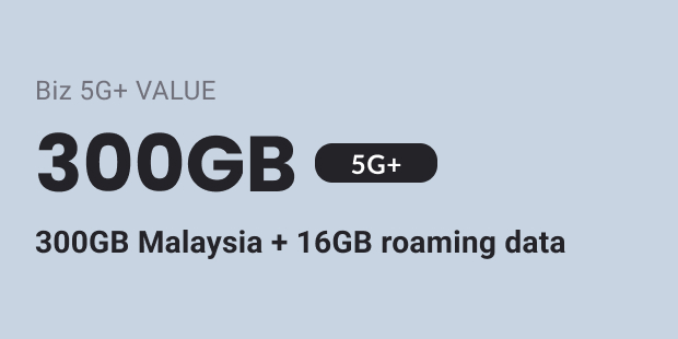 Gomo Biz 5G+ VALUE 300GB plan