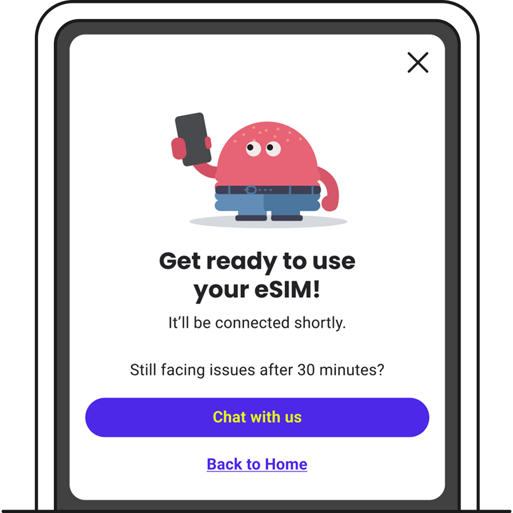 eSIM installation success screen.