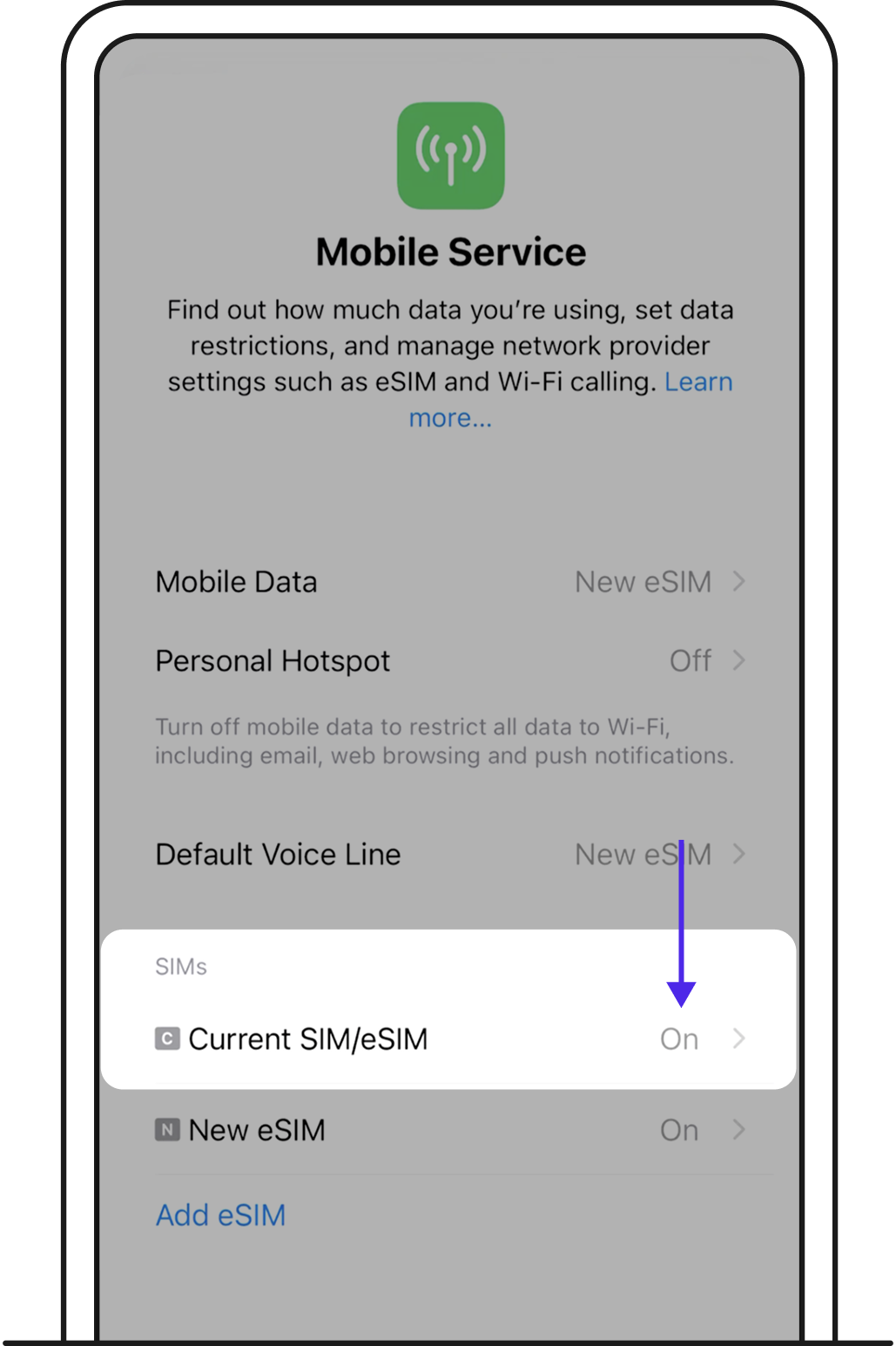 Make sure your new GOMO eSIM is toggled on.