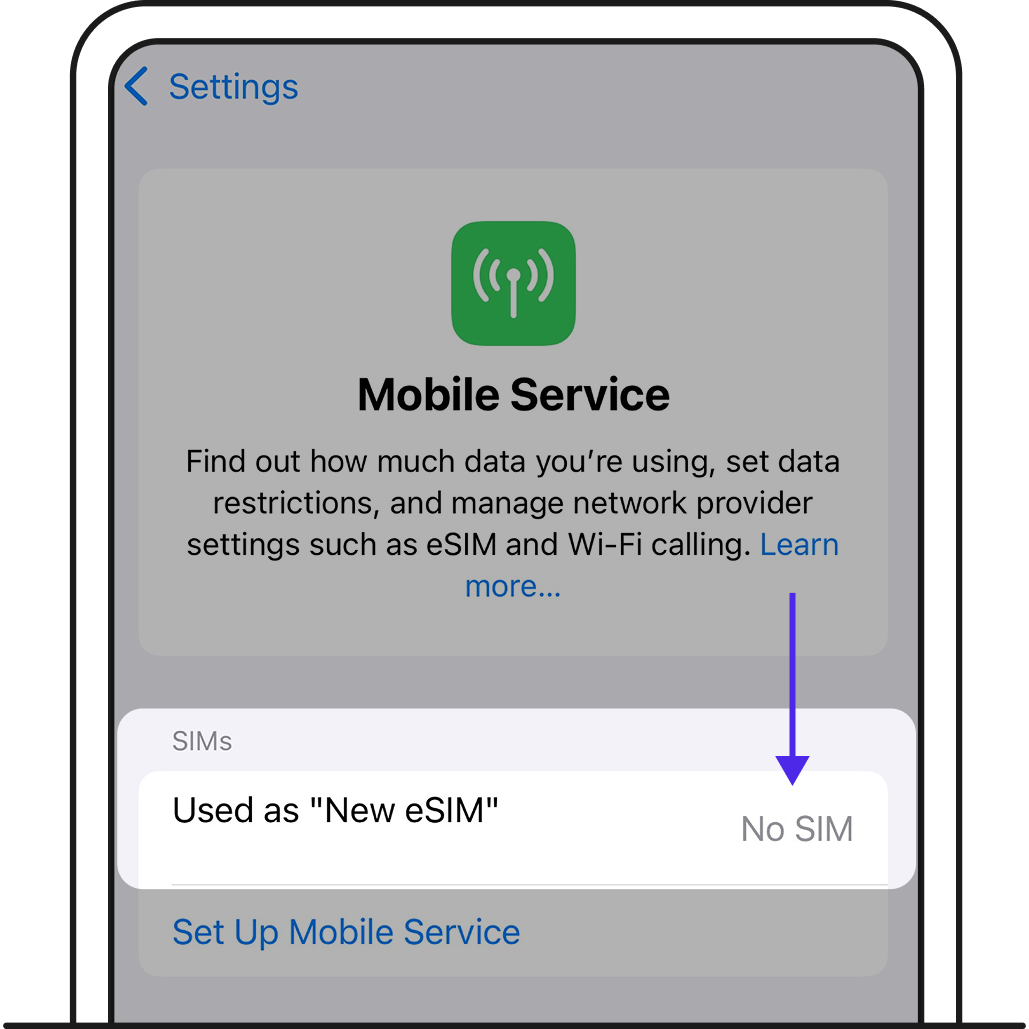After eSIM removal, Mobile Service page should show No SIM.