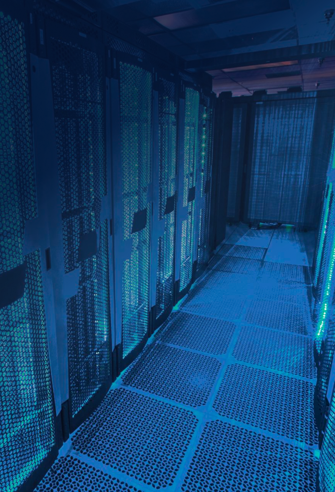 Custom-configured private cage setup with high-density racks