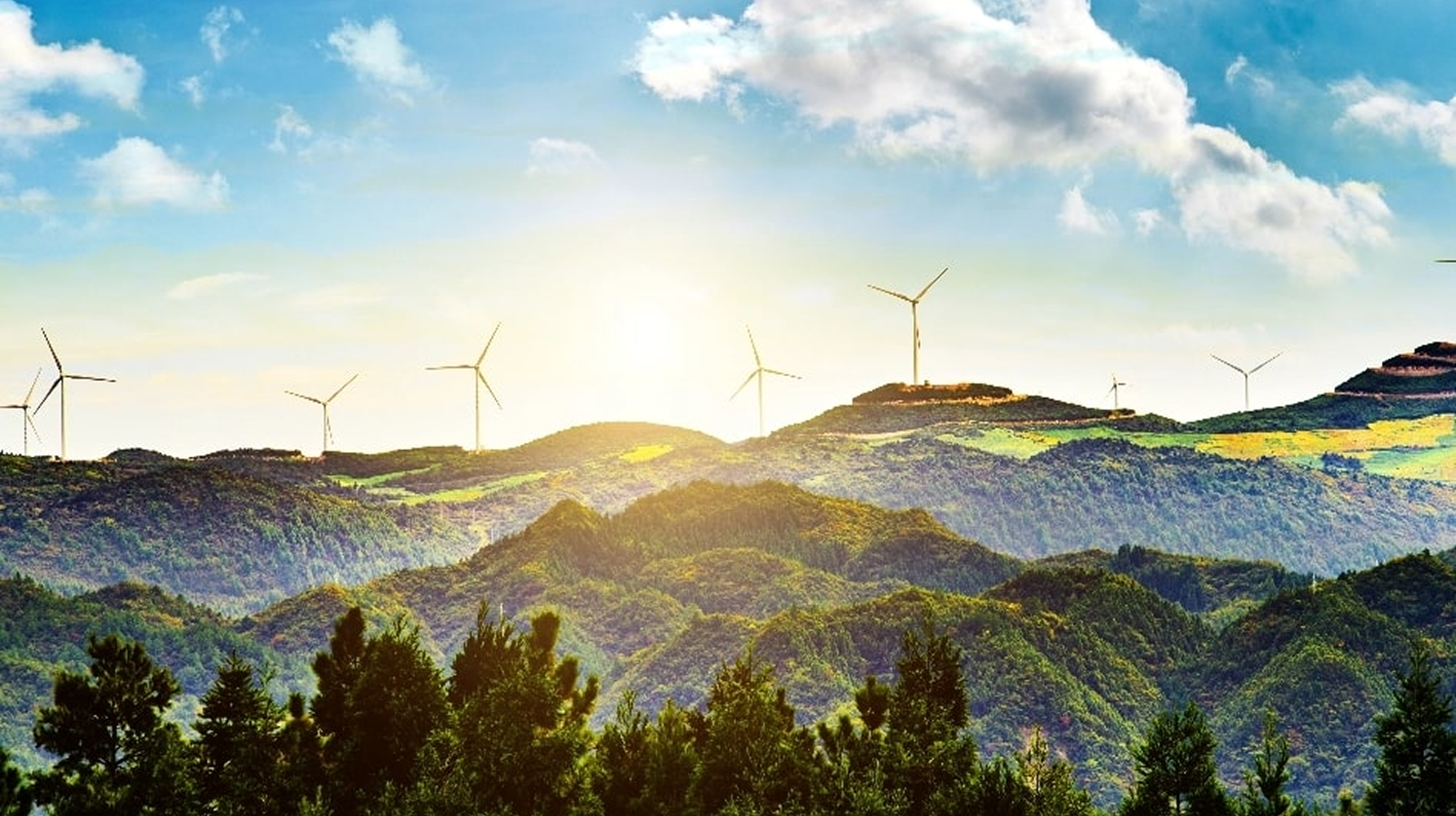 Sustainability Goals