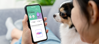 Singtel Dash partners Zip for buy now, pay later options - Telecom Review  Asia Pacific