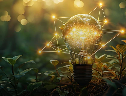 End-to-end sustainable network connectivity