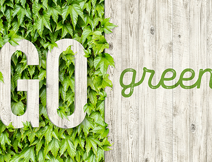 Going green without greenwashing