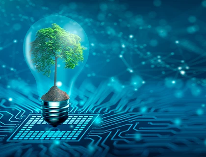 A flexible network is a sustainable network
