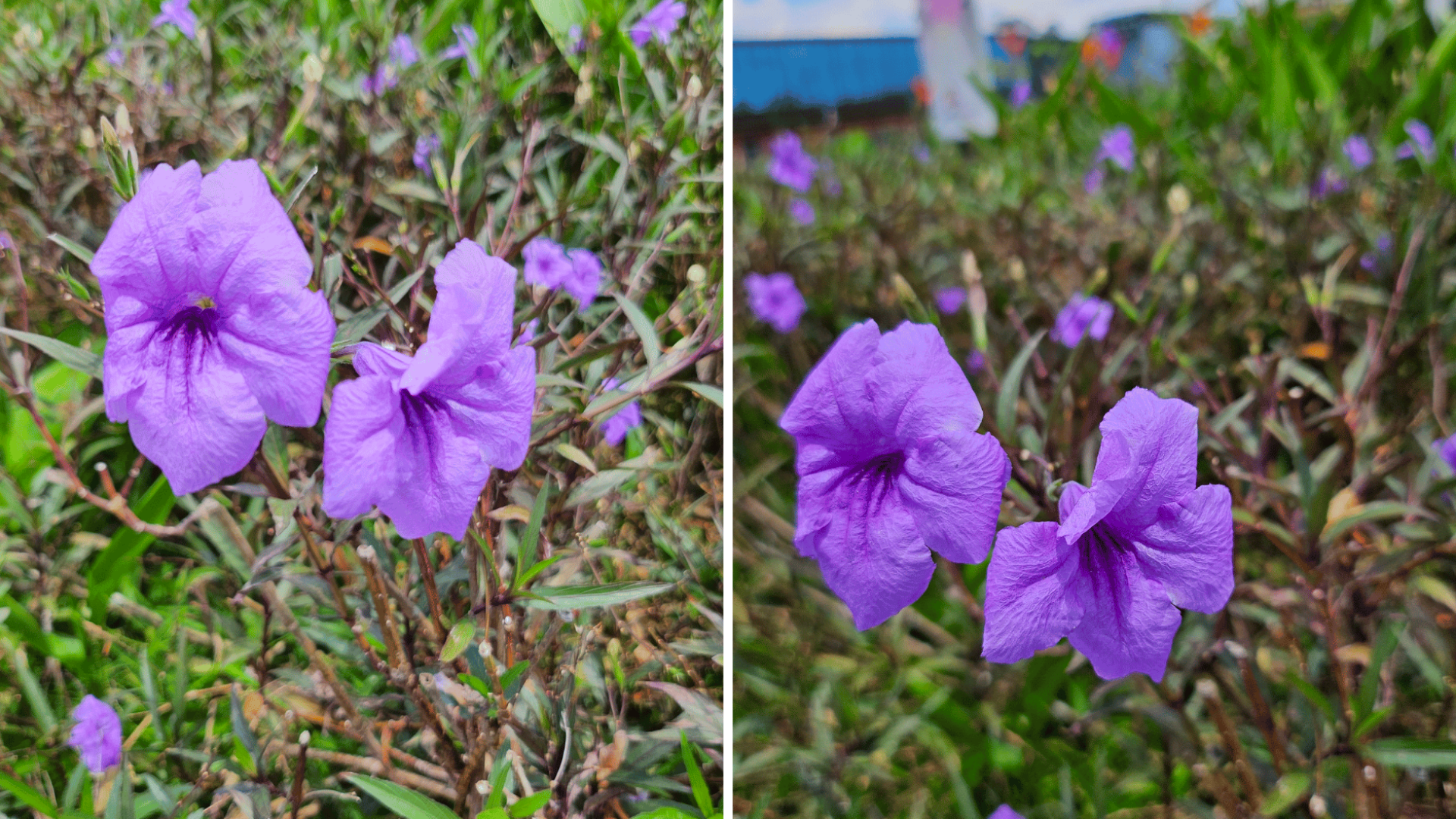 Daylight photography