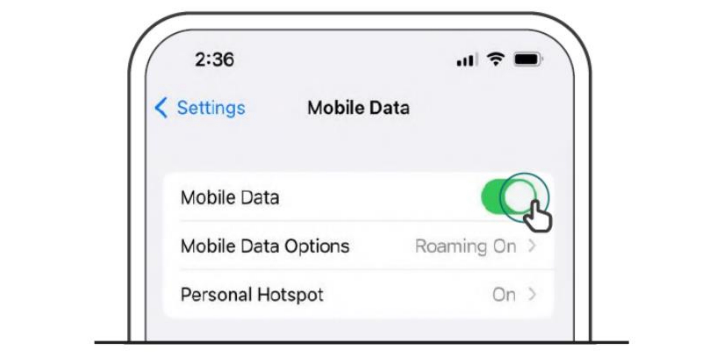 check that mobile data is enabled for iOS device