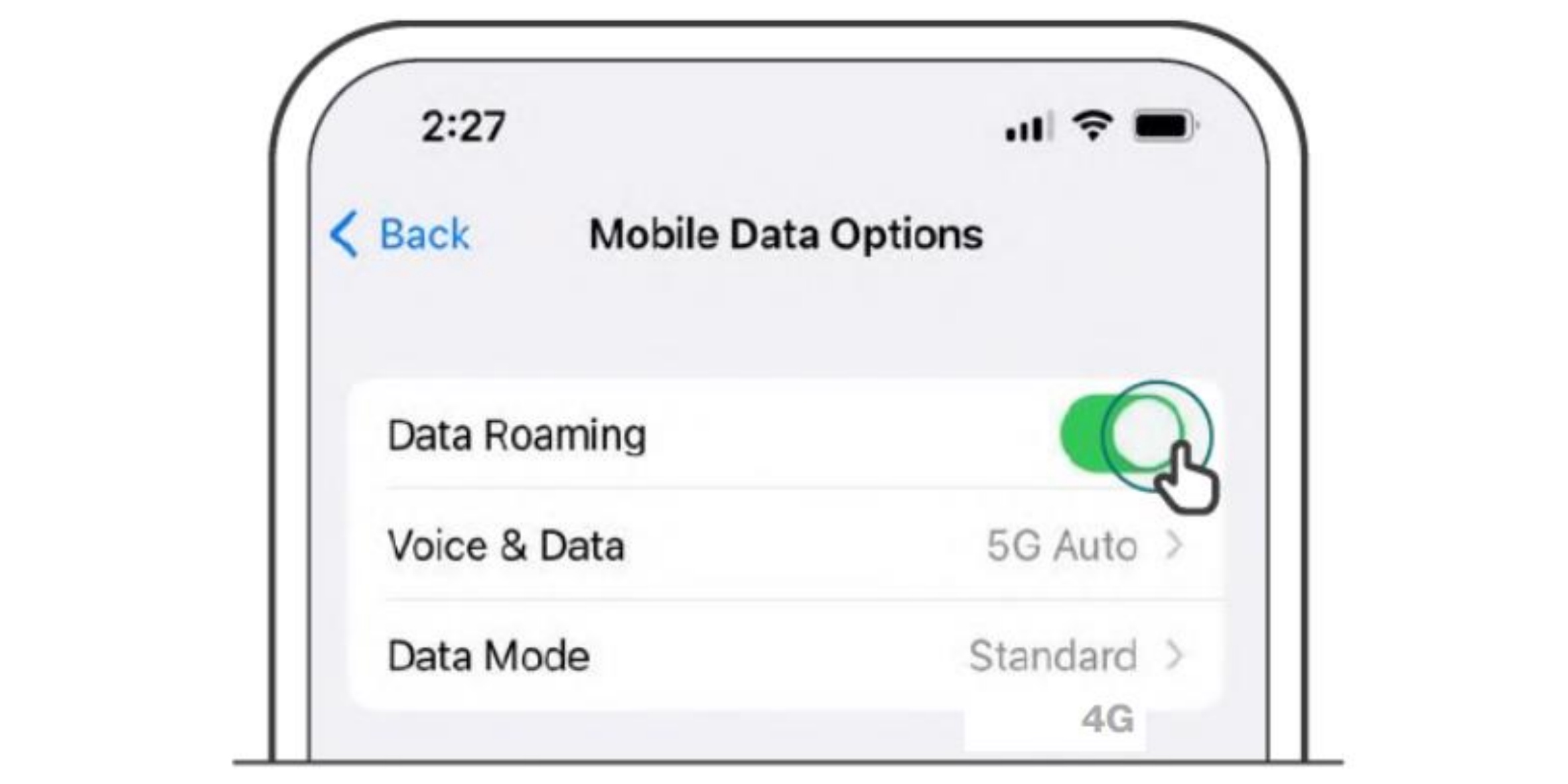 select mobile data option and ensure data is enabled for iOS device