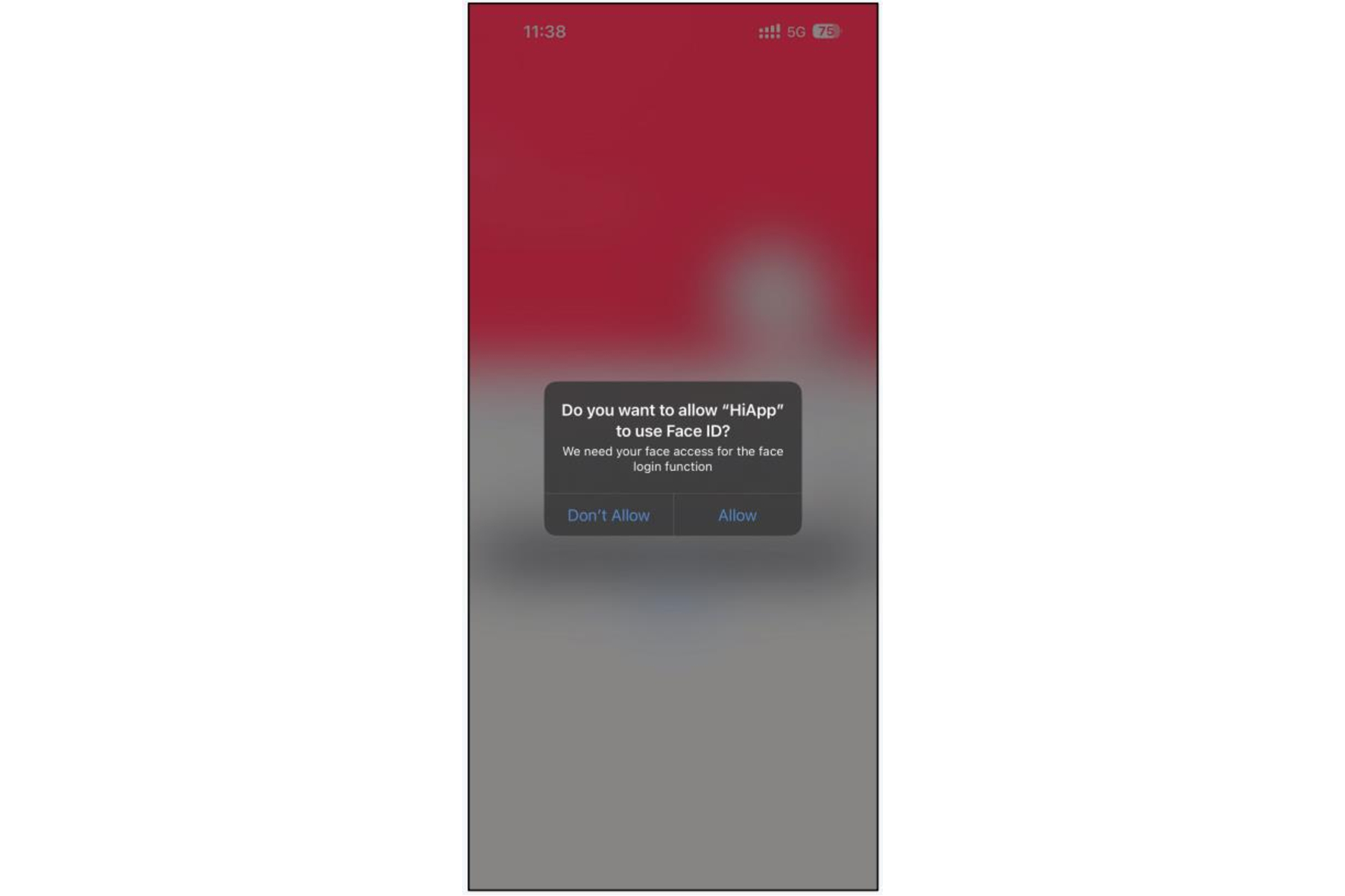 Click "Allow." Your Face ID has been set.