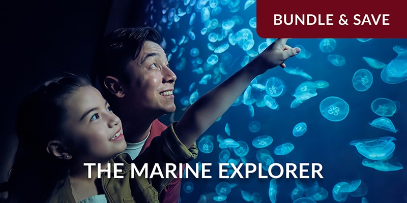 5G+ Tourist SIM & 1x Singapore Oceanarium (adult ticket)