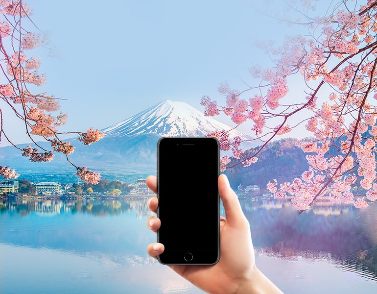 Roaming Frequently Asked Questions